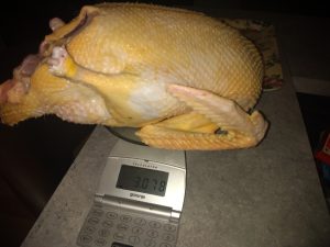 IMG_20220209_172746