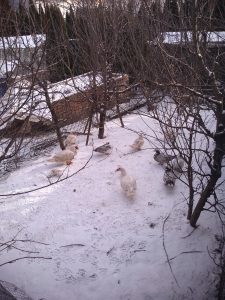 IMG_20220209_183528