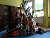 DSC03950.jpg