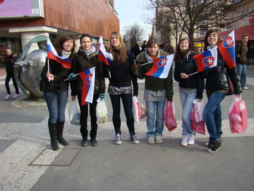 dsc08216.jpg