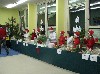 IMG_0483.jpg
